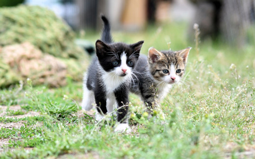 1756093 (a): :1920x1200